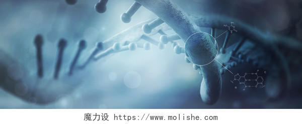 医院基因分子医疗科技素材海报背景图